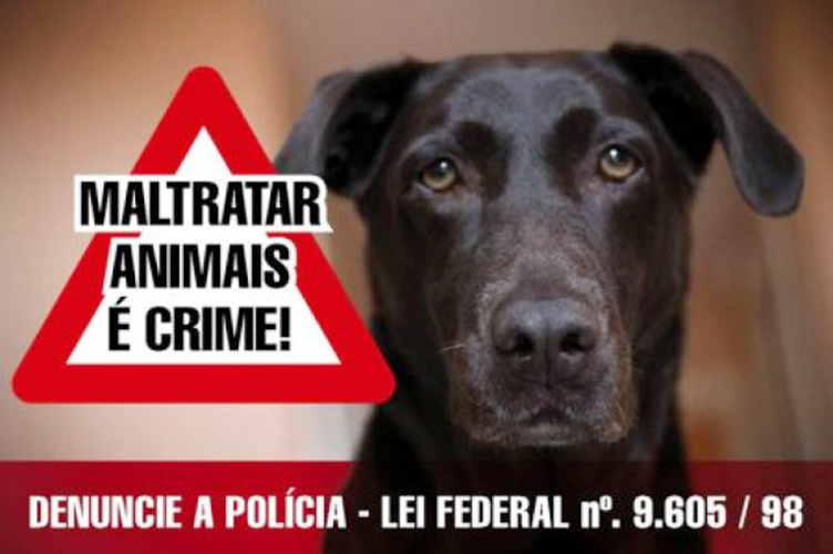 Maltratar animais crime
