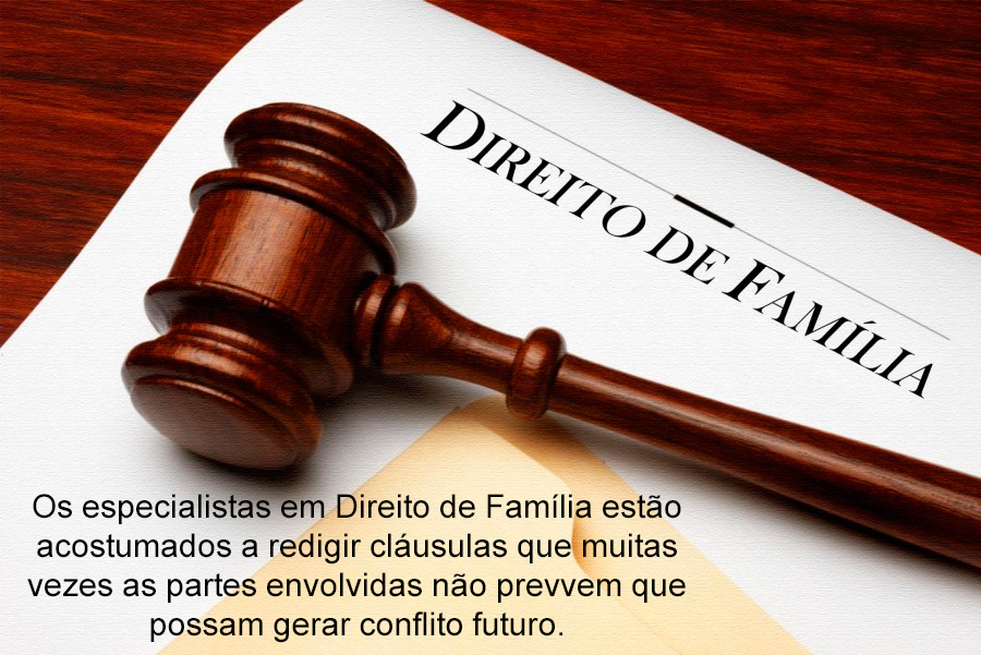 negociacao direito da familia1